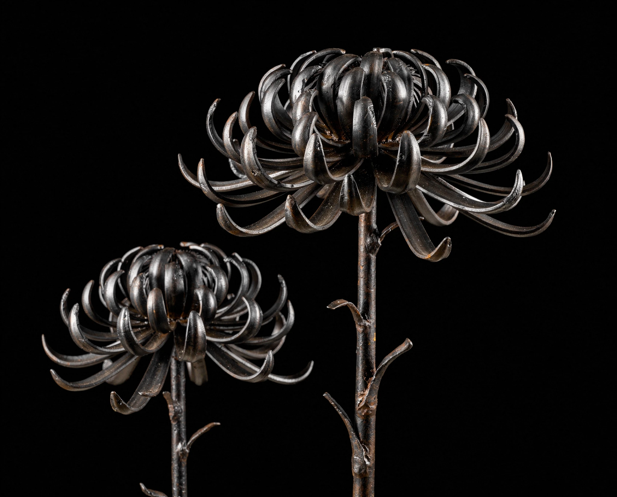 Two blackened steel chrysanthemums against a pure black background — synthographic artwork by davidname.