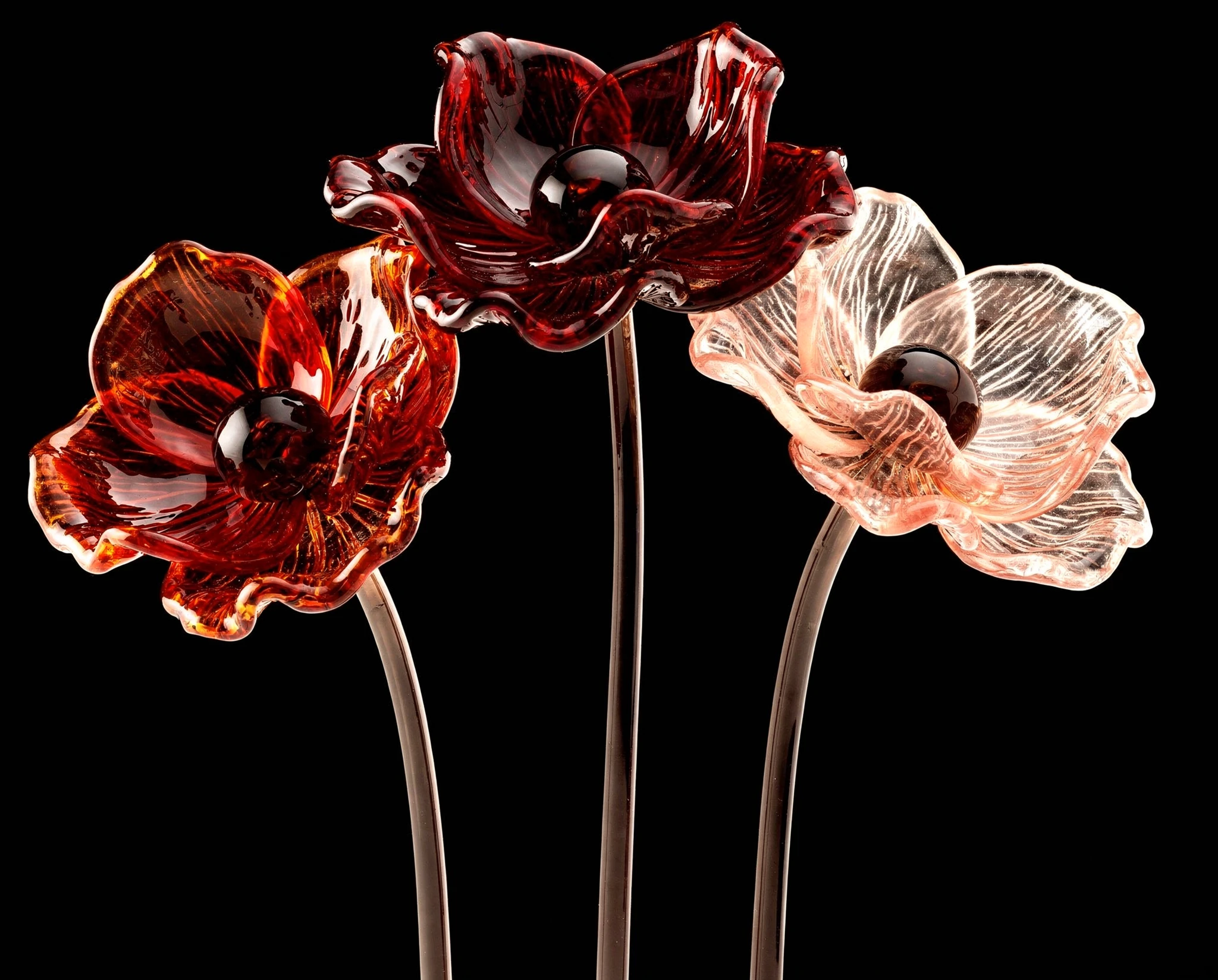 Three translucent glass poppies in red, crimson and pale rose, with dark centres and slender stems against a black studio background — synthographic artwork by davidname.